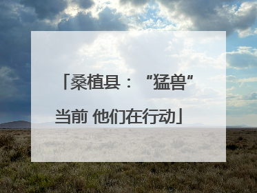 桑植县：“猛兽”当前 他们在行动